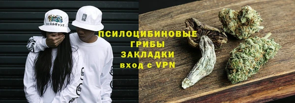 apvp Армянск