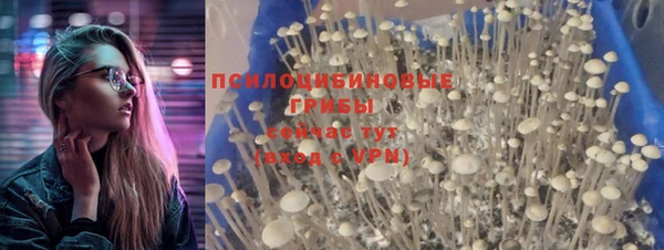 кокс Аркадак