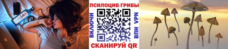 это формула  Луза  Галлюциногенные грибы Psilocybe  где купить наркотик 