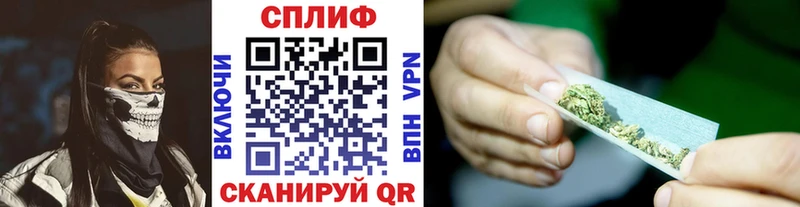 Шишки марихуана гибрид Луза